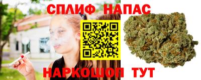 сатива Изобильный