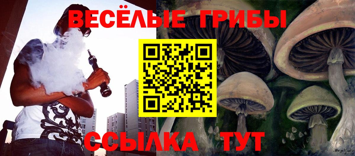 Псилоцибиновые грибы Cubensis Вичуга