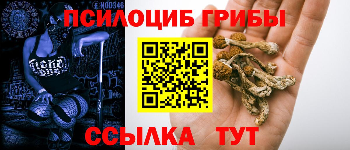 Галлюциногенные грибы мухоморы  Вход с VPN  Вичуга 